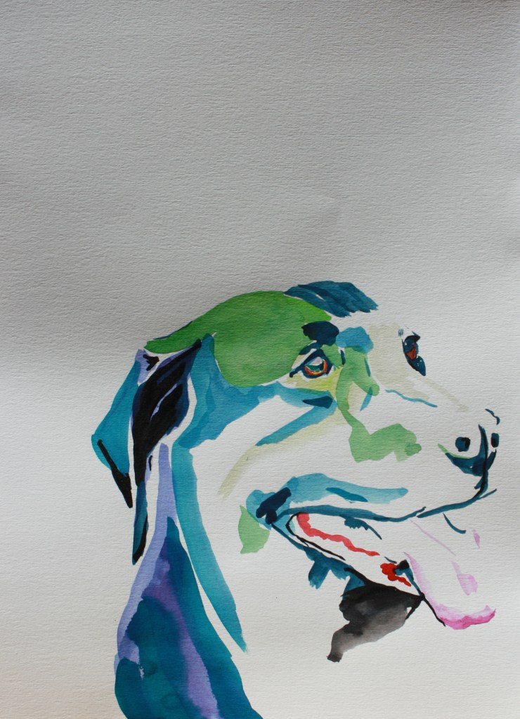 Black Lab looking fly. Ink on paper.