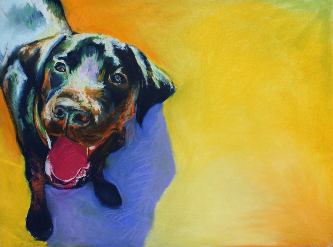 Happy lab ready to play. Pastel on paper.