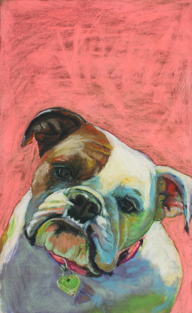 Happy bulldog! Pastel on paper.