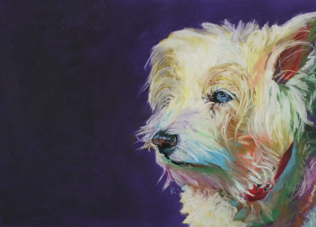 Old, blind lady dog.  Pastel on paper.