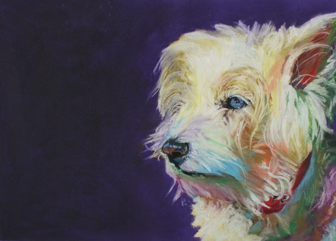 Old, blind lady dog.  Pastel on paper.