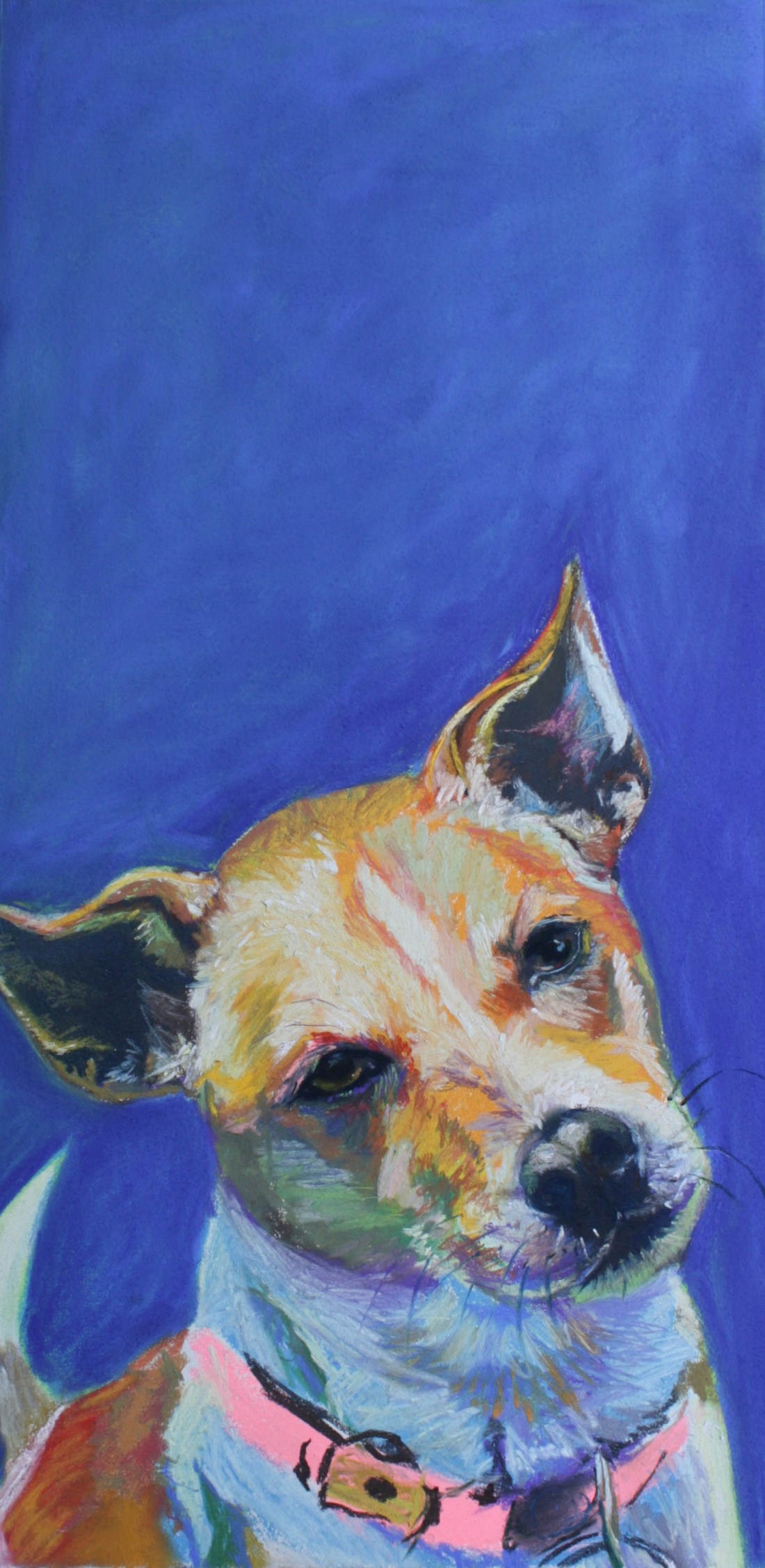 Curious dog.  Pastel on paper.