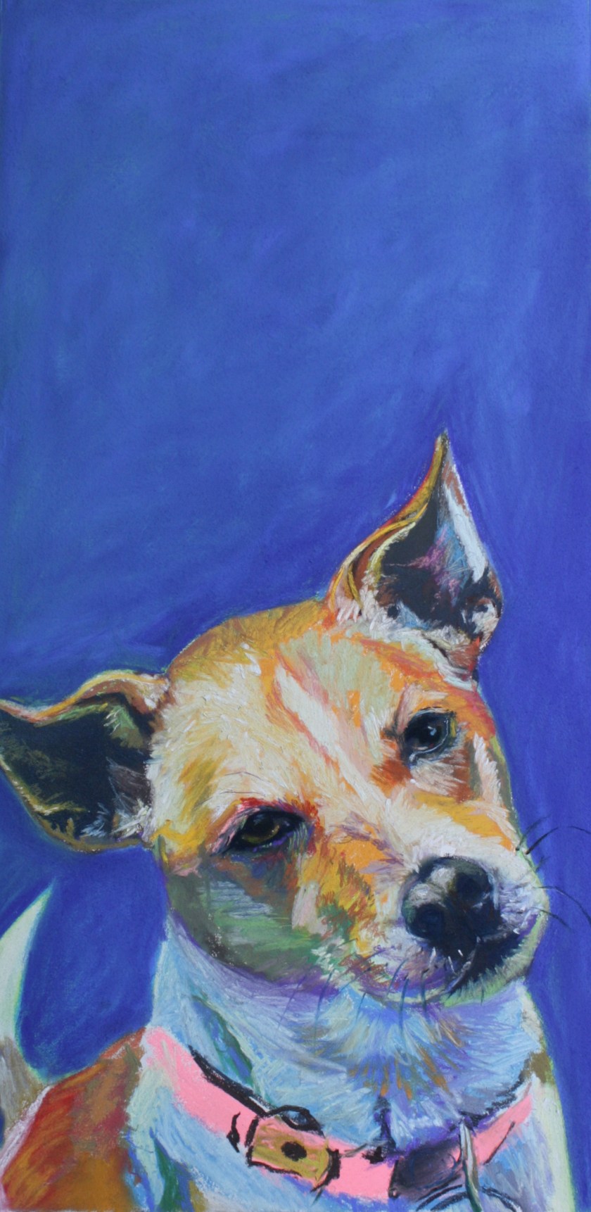 Curious dog.  Pastel on paper.
