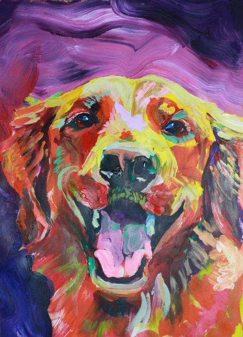 The Happiest Golden Retriever